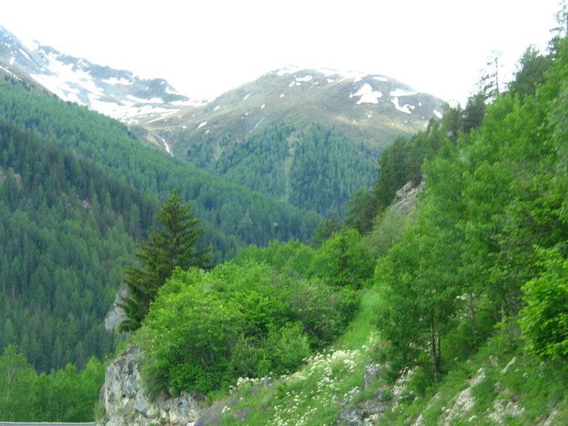 Click to see next picture