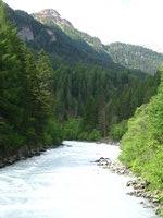 Click to see big picture (600x800 pixels; 104 KB)