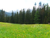 Click to see big picture (800x600 pixels; 136 KB)