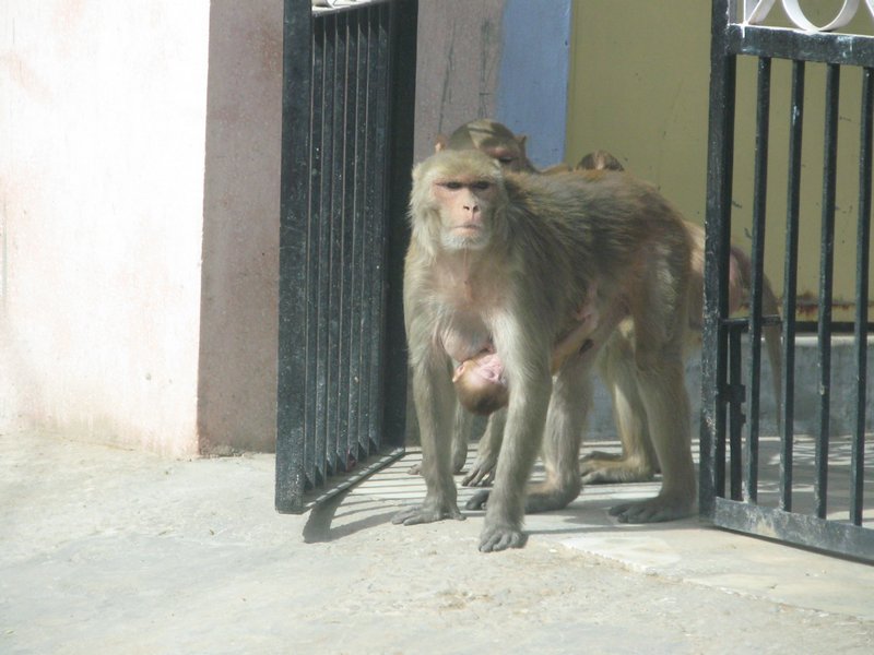 Click to see next picture