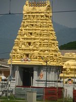 Click to see big picture (600x800 pixels; 87 KB)