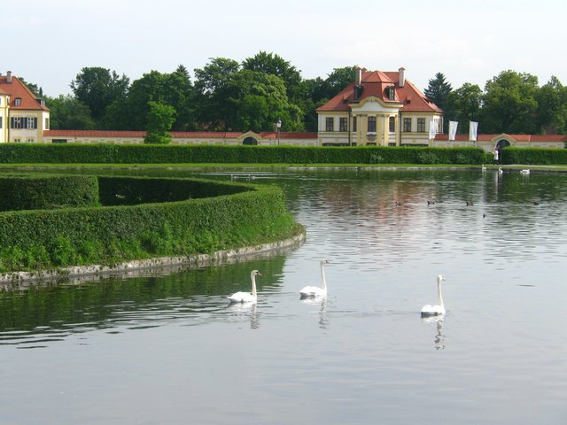 Click to see next picture