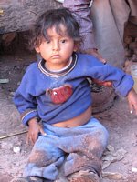 Click to see big picture (768x1024 pixels; 210 KB)