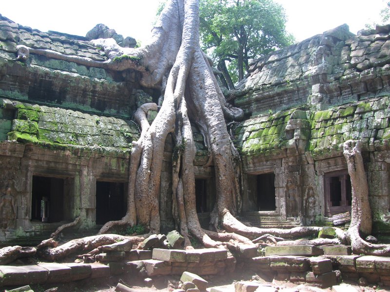 Click to see next picture