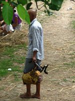 Click to see big picture (285x380 pixels; 38 KB)